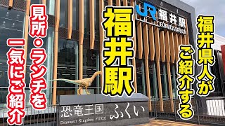 福井県人がご紹介する福井駅の見所ランチを一気にご紹介【方言：ハイブリッド福井弁】 [upl. by Acinnej]