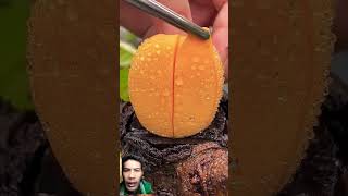 Ngremixfruit carvingfruit fruitcarvingorange satisfying fruitcarving fruitcutting funny [upl. by Christoph53]