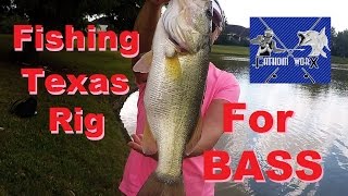 Bank fishing Fishing Texas Rig For Bass [upl. by Auqined131]