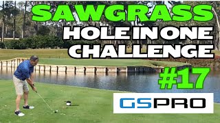 Sawgrass 17 Hole in One challenge on GSPro with my Takomo 201’s takomogolfcompany [upl. by Tomaso]