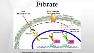 Fibrate [upl. by Alleynad]