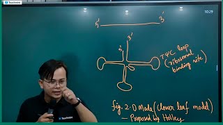 tRNA Structure Molecular Basis of Inheritance Chapter [upl. by Janice]