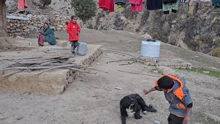 Inside Iranian Nomadic Life A Day with Traditional Nomad Families  Cultural Journey [upl. by Sedecram]