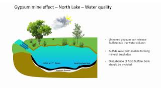 Lake Wyangan  Gypsum Mine [upl. by Nbi]