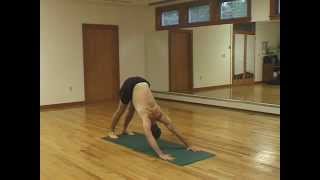 Complete Ashtanga Primary Series Part 15 Sun salutes [upl. by Odravde]