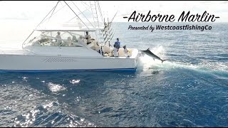 Worlds best Blue Marlin Fishing  West Coast Fishing Co [upl. by Siahc]