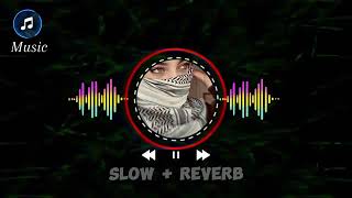 Tu Sadi Majboori hn  New Saraiki Song 2024  Slow and Reverb  Malkoo  Sara Altaf [upl. by Amye]