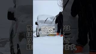 【雪国あるある】車のワイパーを上げておかないと、どんな失敗をしてしまうのかを紹介します 飯山市 長野県 雪 雪かき [upl. by Aicinet394]