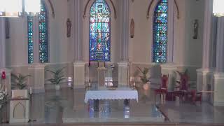 November 2 2024 at 800 am Catholic Mass from St Philip in Vacherie LA [upl. by Eninotna]