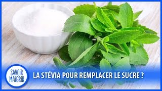 La stévia pour remplacer le sucre [upl. by Barbra]