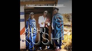 DJ Manzo SA  Kushu Kushu feat Cheeze Beezy amp Tumisho  AMA Hits 🔥🔥🔥 [upl. by Eiramannod]