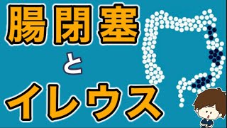 イレウスと腸閉塞の違い 治療や看護について イレウス管って何ですか？ [upl. by Sherwynd]