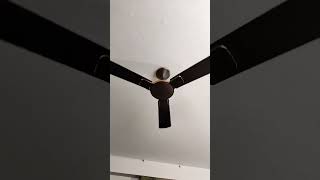 Kulukki Thakka Thi Ceiling Fan Part 28 [upl. by Amr]