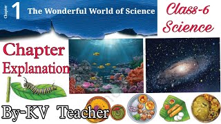 The Wonderful World of Science  Class6 Science New NCERT Curiosity Chapter1 Explanation [upl. by Ailemaj]