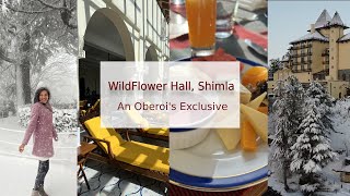 Snow Experience at Wildflower Hall Shimla  Oberois Most Premium Hotel on Hills at Mashobra  Kufri [upl. by Icrad]