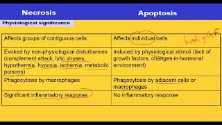 NECROSIS APOPTOSIS AND NECROPTOSIS [upl. by Urbain518]