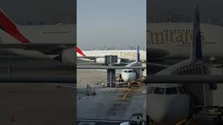 shorts Dubai Airport emirates philppines travel amazing aviation [upl. by Ahsytal]