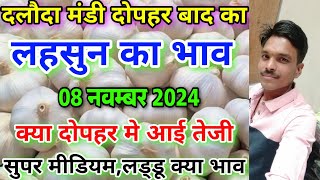 दलौदा मंडी दोपहर बाद का लहसुन का भाव 08 नवम्बर 2024 garlic rate today daloda Mandi aaj ka bhav [upl. by Bickart301]