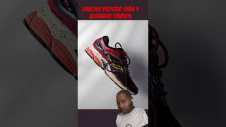 Saucony Progrid Omni 9 Autumnal Equinox [upl. by Wade]