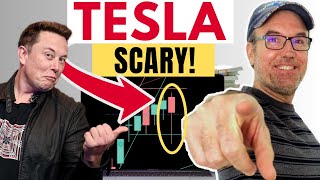 Tesla Stock  What happened today [upl. by Aihcsrop886]