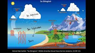 Su Döngüsü Fen Bilimleri Biyoloji [upl. by Nava177]