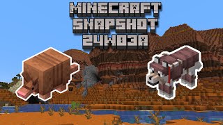 Minecraft Snapshot Review 1205 24w03a [upl. by Ycnej]