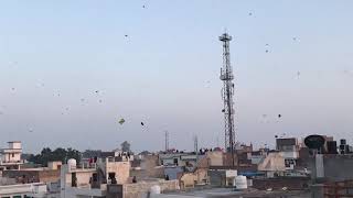 Flying Kites on Sunday Ferozepur [upl. by Awuhsoj422]