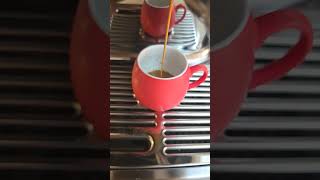 MAGICAL BREVILLE BARISTA PRO [upl. by Sackey]