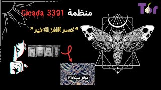 Cicada 3301 الشيفرة المفقودة كسر اخر لغز من الغاز المنظمة [upl. by Aulea977]