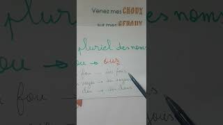 Le pluriel des noms en ou et les exceptions sous forme dun poème [upl. by Neo]