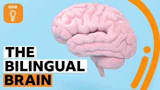 Why being bilingual is good for your brain  BBC Ideas [upl. by Sonahpets470]