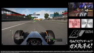 【ガメセンテル】 F1 2014 [upl. by Catrina613]