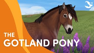 Meet the Gotland Pony 😍🐴❤️  Star Stable Breeds [upl. by Assilem]