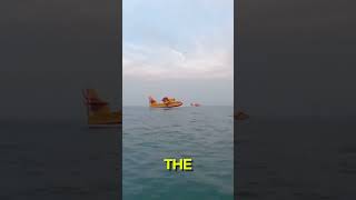 How Firefighting Plane Load Water 🤯😱 shorts interestingfacts amazing [upl. by Sonnnie]