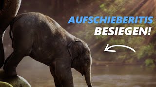 Aufschieberitis besiegen mit Selbsthypnosegenial [upl. by Yetty]