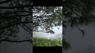 Best places to visit in Kasauli Himachal Pradesh  hill station near Chandigarh [upl. by Enohpets]