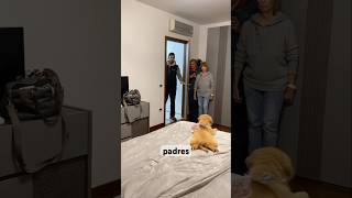 Este cachorro sabía quién era su nuevo dueño 🥺 [upl. by Dumm]