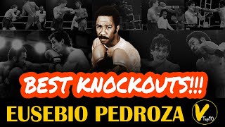 5 Eusebio Pedroza Greatest Knockouts [upl. by Adnomar]