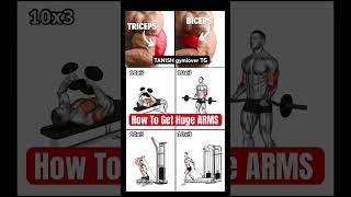 🏋️‍♂️🏋️‍♂️♥️Powerful Biceptricep all exercise tips💯😘💪 tanieh gymlover TG youtubeshorts [upl. by Veda]