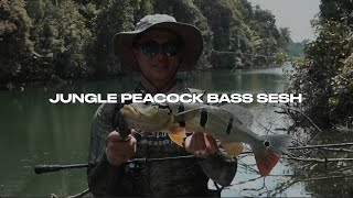 JUNGLE PEACOCK BASS with TOUGHFIA Lures [upl. by Giardap]