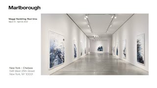 MARLBOROUGH CHELSEA  Maggi Hambling [upl. by Arais]