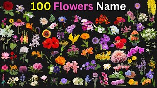 Learn 100 Flowers Name in English  Names of Flowers  Flowers Names for Kids  Flowers Vocabulary 🌺 [upl. by Beaston]