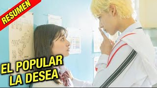 🔥 EL CHICO POPULAR SE ENAMORA DE UNA CHICA QUE SUFRE BULLYING LA PROTEGE Y LA DESEA  Vy Resumen [upl. by Ellenoj925]