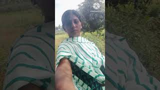 என்னுடைய தேவைYouTube shorts videos YAKSHI TAMIL [upl. by Oelc493]