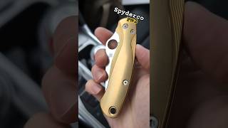 Unboxing a friggin crazy custom SpydercoKnivesOfficial PM2 w flytaniumofficial Brass Scales 🤯 [upl. by Agathe223]