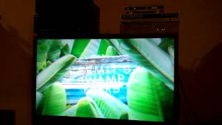 Opening To Kermits Swamp Years 2002 DVD [upl. by Oraneg]