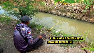 Mancing di selokan dan di sungai pinggir jalan raya [upl. by Efrem]