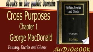 Cross Purposes Chapter 1 George MacDonald Audiobook [upl. by Wandie]