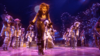 Broadway Montage  Cats the Musical [upl. by Aneehc936]