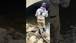 Fall Steelhead Fishing fishing lakeerie steelheadfishing fishingmethods [upl. by Attenoj]